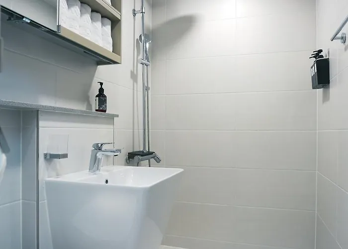 Newly Built Premium Near Hongdae And Mangwon Market With Elevator And Two Bathrooms * 서울특별시